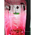 Professioneller Hersteller Doppelschalter 1000 Watt COB LED Grow Light Full Spectrum